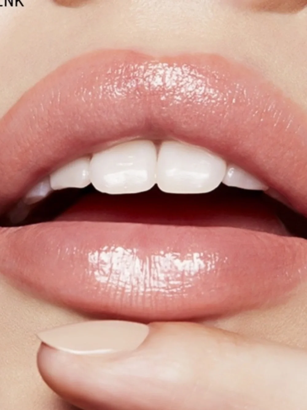 ⚡️🖤MAC Cosmetics Ephemeral Nature Plumping Pout Lip Gloss